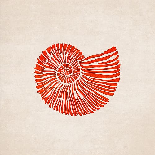 Shell Art Print