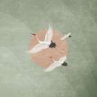Turnalar Yosun Yesili Art Print