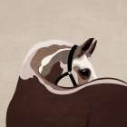 Boho Western Horse Art Print