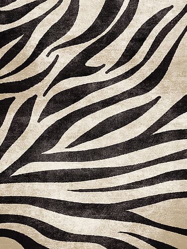 Zebra Art Print