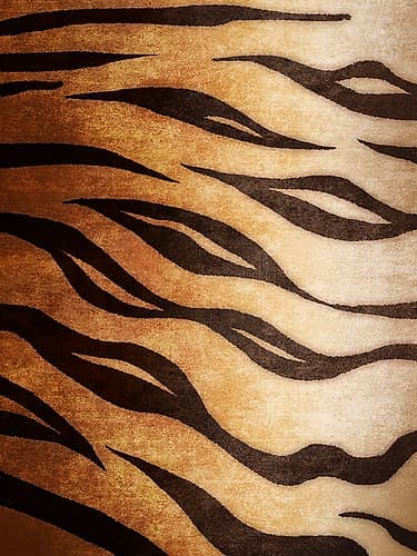 Tiger Art Print