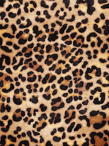 Leopard Art Print