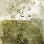 Olive Art Print