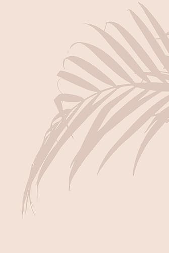 Palm Leaf Art Print