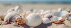 Beach Impressions No 34 Art Print