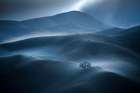Rolling Fog Art Print