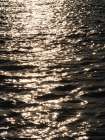 Sea Waves At Sunset Art Print