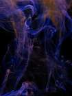 Ink In Water Art Print