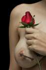 Love Art Print