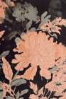 Wild Peony Art Print