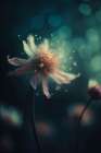 Beauty At Night Art Print