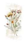 Wild Floral in soft shades Art Print