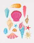 Seashells Art Print