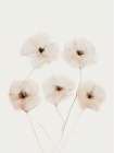 Beige Delicate Flowers Art Print
