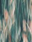 Impressionist Flowers Art Print