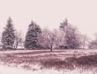 W1 2 Dsc9934 Art Print