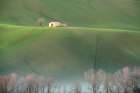 The cottage in the fields Art Print