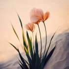 Duneflowersno3 Fullsize Art Print