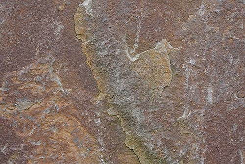 Tex Surface S18 Art Print