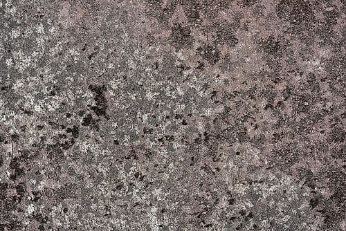 Tex Surface S38 Abstract Art Print