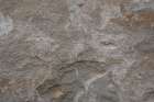 Tex Surface S54 Art Print
