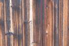 Tex Surface Wood 2 Art Print