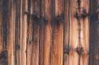 Tex Surface Wood 1 Art Print