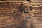 Tex Surface Wood 4 Art Print