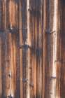 Tex Surface Wood 6 Art Print