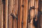 Tex Surface Wood 9 Art Print