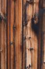 Tex Surface Wood 10 Art Print