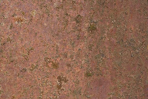Rust 23 Art Print
