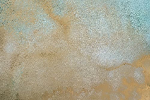 Gold Wc Bg 2 Art Print