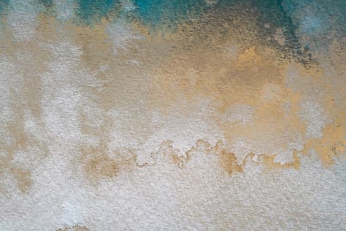 Gold Wc Bg 6 Art Print