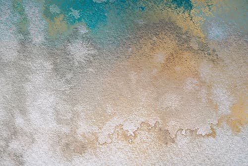 Gold Wc Bg 7 Art Print