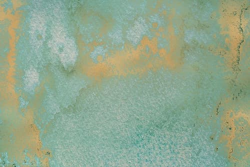 Gold Wc Bg 10 Art Print