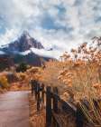 The Trail To The Rock Art Print