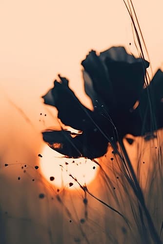Before Sunset No 4 Art Print