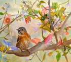 Bluebird On a Blossoming Branch Art Print