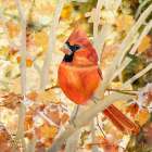 Entwined In Leaves Art Print