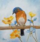 Flower Peeping Eastern Bluebird Art Print