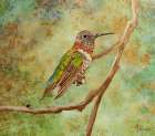 First Lights of Autumn Art Print