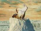 Greetings From the Arctic Art Print