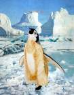 Penguin Chick In the Arctic Art Print