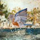 Swinging In the Rain Art Print