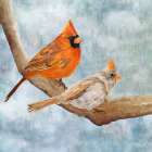 Together Above All Art Print