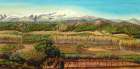 Vineyard Valley In the Sierra Nevada Surroundings Art Print