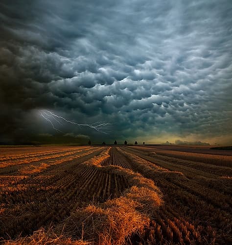 Mammatus Art Print by Franz Schumacher