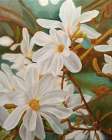 Magnolias Art Print