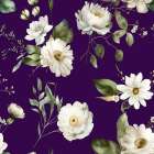 Wall Mural Wh 1 4096 Dark Purple Art Print